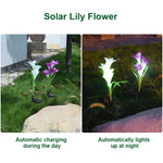 Lâmpada de Relva Decorativa LED Exterior com 4 Cabeças em Forma de Lírio Simulado, Alimentada a Energia Solar, IP55 Impermeável, Luz Branca, Luz Branca