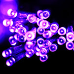 Luz de Cordão Reticular com 200 LEDs com Junta Final e Controlador Multifuncional, Branco Quente Ficha UE, Luz Azul Ficha UE, Luz Colorida Ficha UE, Luz Roxa Ficha UE, Luz Branca Ficha UE