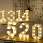 Luz de Feriado Quente Branca Alimentada a Pilhas Secas, LED6214A, LED6214B, LED6214C, LED6214D, LED6214E, LED6214F, LED6214G, LED6214H, LED6214J, LED6214K