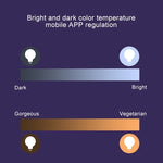 14 LEDs 3000K+RGB 1050 LM compatível com Alexa e Google Home, AC 230V