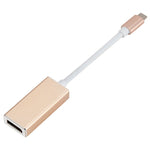 Conversor USB-C / Tipo-C 3.1 Macho para DP Fêmea HD, Comprimento: 12cm