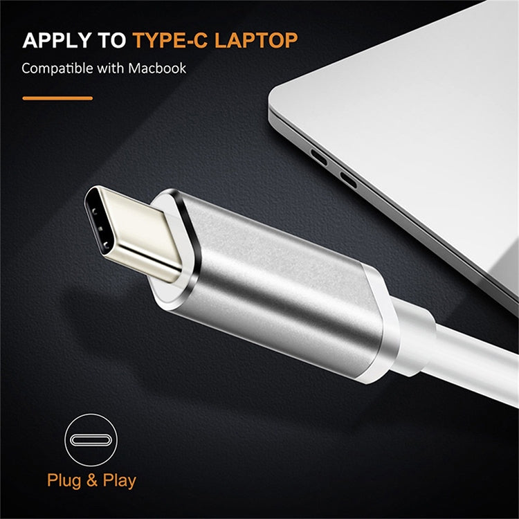 Conversor USB-C / Tipo-C 3.1 Macho para DP Fêmea HD, Comprimento: 12cm