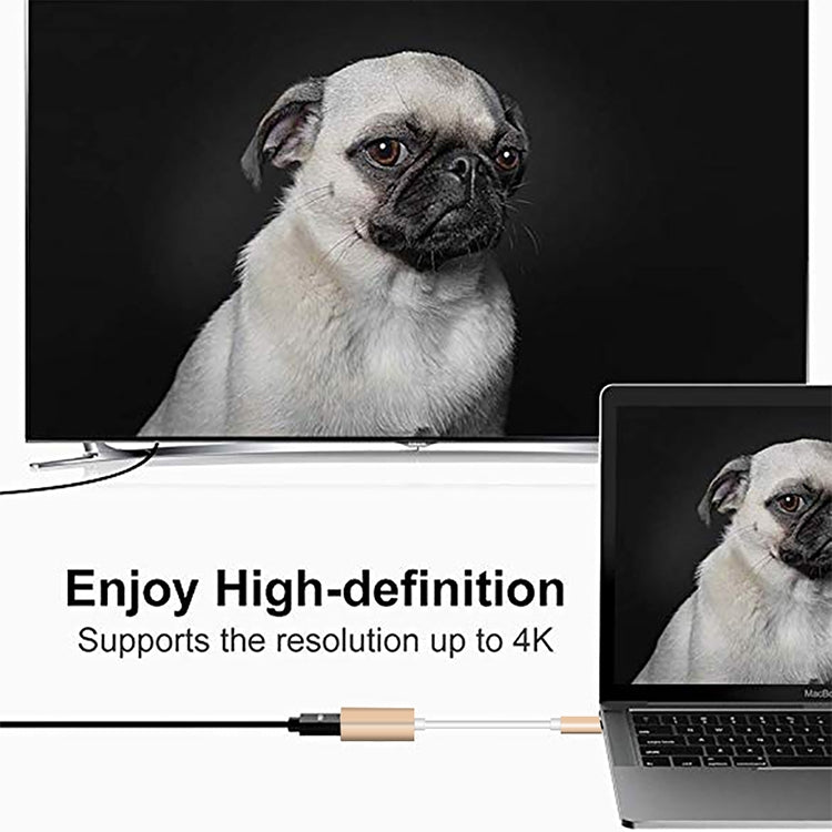 Conversor USB-C / Type-C 3.1 Macho para Mini DP Fêmea HD, Comprimento: 12cm, Prateado, Dourado