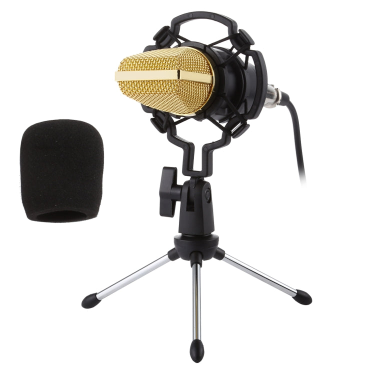 Microfone Condensador Profissional USB BM-700