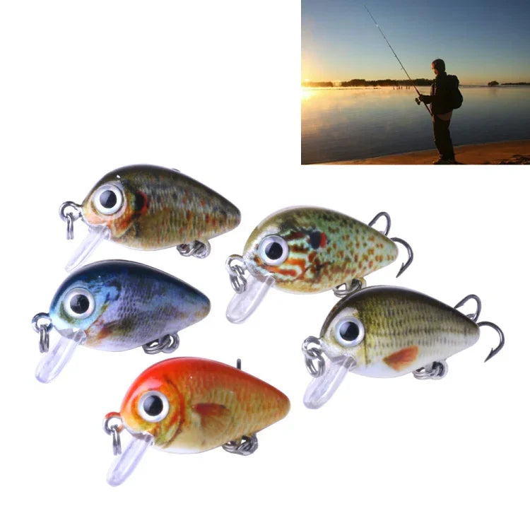 HENGJIA 5 Peças Iscos de Pesca Luya Rock 2.7cm/1.5g Kit Biónico com Caixa Plástica, Box008