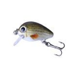 HENGJIA 5 Peças Iscos de Pesca Luya Rock 2.7cm/1.5g Kit Biónico com Caixa Plástica, Box008
