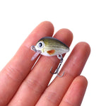 HENGJIA 5 Peças Iscos de Pesca Luya Rock 2.7cm/1.5g Kit Biónico com Caixa Plástica, Box008
