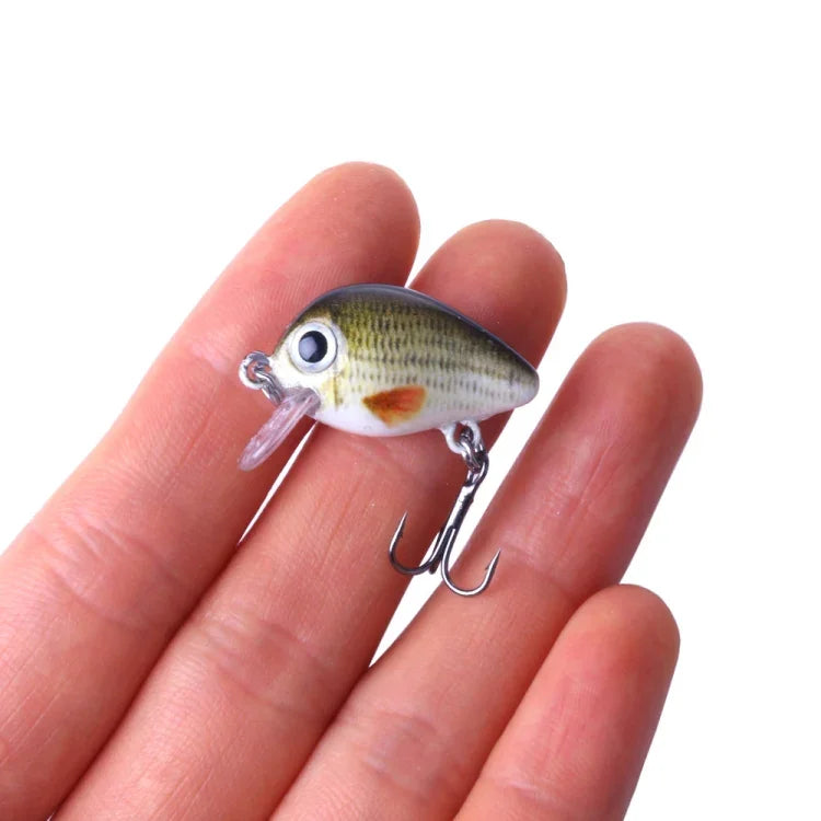 HENGJIA 5 Peças Iscos de Pesca Luya Rock 2.7cm/1.5g Kit Biónico com Caixa Plástica, Box008