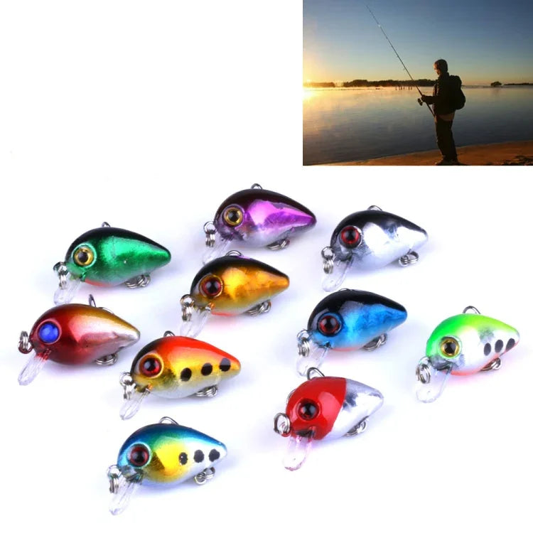 HENGJIA 10 Peças Iscos de Pesca Luya Rock 3cm/1.5g Kit Biónico com Caixa Plástica, Box014
