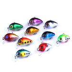HENGJIA 10 Peças Iscos de Pesca Luya Rock 3cm/1.5g Kit Biónico com Caixa Plástica, Box014
