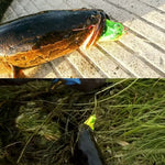HENGJIA 5 PCS Iscas Moles para Pesca na Água, Iscas de Rã Raio com Caixa de Plástico, Iscas Moles para Pesca na Água