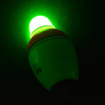 Flutuador Eletrónico para Pesca com Luz Noturna, Boia Luminosa, 3.5cm/30g, 3.9cm/40g, 4.2cm/50g, 4.5cm/60g, 4.8cm/80g