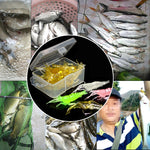 10 PCS Iscas Artificiais Moles para Pesca 4cm Isca de Camarão Popper com Anzol, Camarão Transparente com Anzol, Camarão Artificial com Anzol, Camarão Luminoso com Anzol, Camarão Rosa com Anzol, Camarão Verde com Anzol