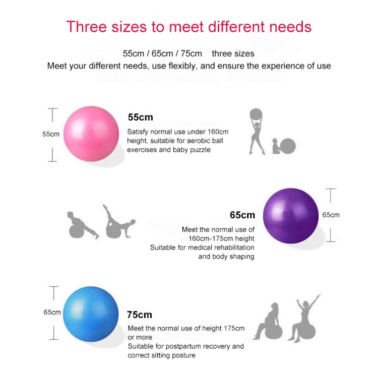 Bola de Yoga Grande Espessada à Prova de Explosão Bola de Fitness Desportiva Ecológica para Grávidas, Diâmetro: 65cm, 65cm (Rosa), 65cm (Azul), 65cm (Roxo)