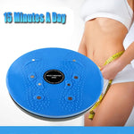 Disco magnético para exercício aeróbico e fitness para cintura, placa de torção, tamanho: 25*3cm, zm-8016 (azul), zm-8016 (roxo)