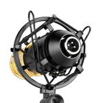 Microfone Condensador Profissional FIFINE F-700 com Suporte Anti-Choque para Estúdio, Rádio e Transmissão em Direto, Porta para Auscultadores 3,5mm, Comprimento do Cabo: 2,5m