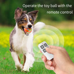 Brinquedo Inteligente O1 com Controlo Remoto para Treino de Cão Bola Luminosa, Controlo Remoto