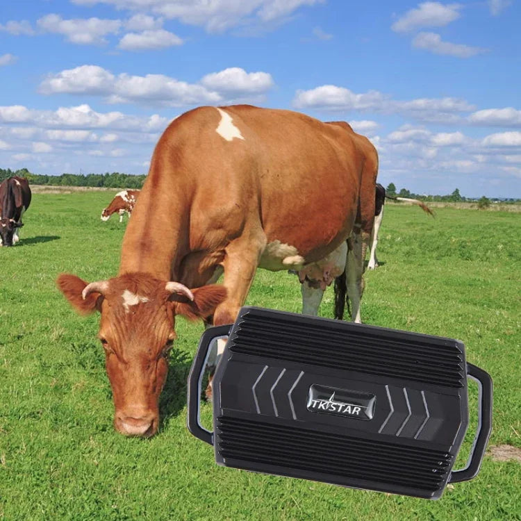 TKSTAR TK935 Rastreador GPS para Animais de Estimação Gado Carro 3000mAh Localizador à Prova de Água, TK935