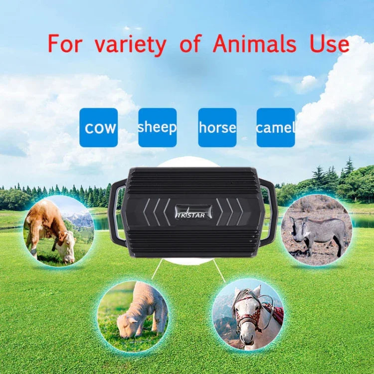 TKSTAR TK935 Rastreador GPS para Animais de Estimação Gado Carro 3000mAh Localizador à Prova de Água, TK935