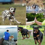Arnês Ajustável para Peito PULUZ Hound Dog Fetch para GoPro, Insta360, DJI e Outras Câmaras de Ação, Correia de Peito para Cão