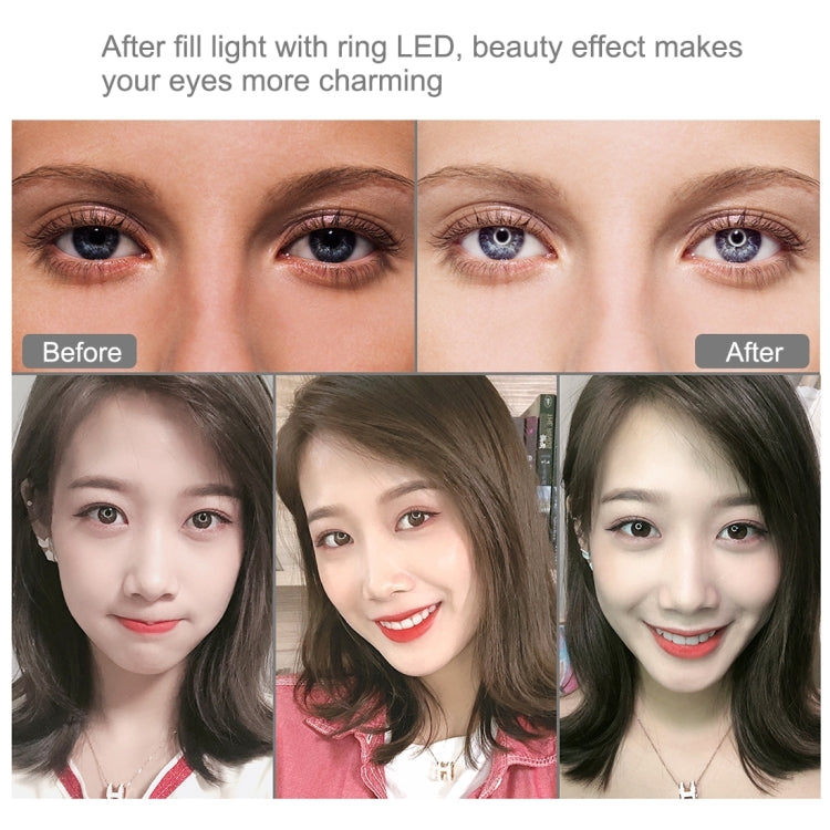 PULUZ Luzes de vídeo para vlogging, selfie e fotografia com anel LED curvo RGB de 20cm (7,9 polegadas), USB, regulável, temperatura de cor dupla, com suporte para telemóvel, RGBW 7,9 polegadas