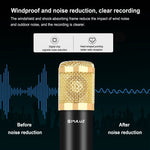 Kit de microfone condensador PULUZ para estúdio, transmissão e canto profissional com braço de tesoura suspenso, suporte anti-choque metálico e placa de som USB, Alimentação 48V, Kit de microfone 48V (Dourado)