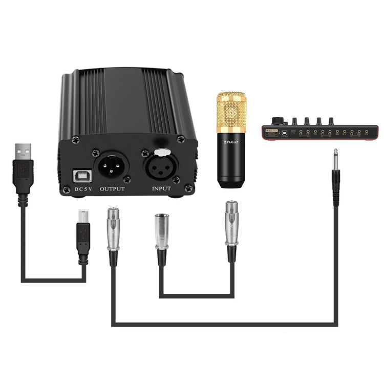 Kit de microfone condensador PULUZ para estúdio, transmissão e canto profissional com braço de tesoura suspenso, suporte anti-choque metálico e placa de som USB, Alimentação 48V, Kit de microfone 48V (Dourado)