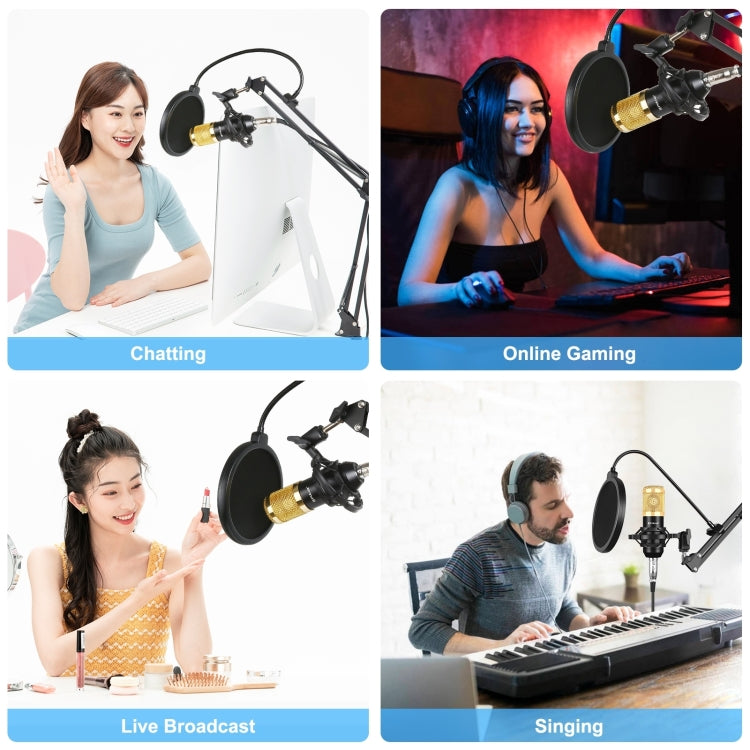 Kit de microfone condensador PULUZ para estúdio, transmissão e canto profissional com braço de tesoura suspenso, suporte anti-choque metálico e placa de som USB, Alimentação 48V, Kit de microfone 48V (Dourado)