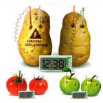 Kit Educativo DIY Relógio Digital de Batata Verde Ciência Nova com Ecrã LCD de 2 polegadas (Batata NÃO Incluída), Relógio Digital de Batata