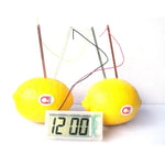 Kit Educativo DIY Relógio Digital de Batata Verde Ciência Nova com Ecrã LCD de 2 polegadas (Batata NÃO Incluída), Relógio Digital de Batata