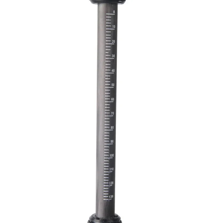Estabilizador Profissional Letspro com Placa Ajustável em Fibra de Carbono para Câmara / DV / DSLR / Filmadora (SK-500)