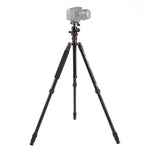 Triopo MT-2504C Tripé Portátil Ajustável em Alumínio com Cabeça de Bola NB-1S para Câmera DSLR Canon Nikon Sony, MT-2504C (Preto), MT-2504C (Dourado)