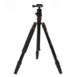 Triopo MT-2504C Tripé Portátil Ajustável em Alumínio com Cabeça de Bola NB-1S para Câmera DSLR Canon Nikon Sony, MT-2504C (Preto), MT-2504C (Dourado)