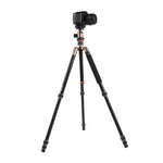 Triopo MT-2504C Tripé Portátil Ajustável em Alumínio com Cabeça de Bola NB-1S para Câmera DSLR Canon Nikon Sony, MT-2504C (Preto), MT-2504C (Dourado)