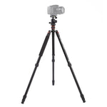 Triopo MT-2504C Tripé Portátil Ajustável em Alumínio com Cabeça de Bola NB-1S para Câmera DSLR Canon Nikon Sony, MT-2504C (Preto), MT-2504C (Dourado)