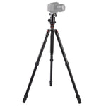 Triopo MT-2804C Tripé Portátil Ajustável em Alumínio com Cabeça de Bola NB-2S para Câmera DSLR Canon Nikon Sony, MT-2804C (Preto), MT-2804C (Dourado)