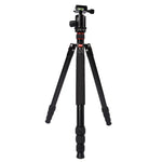 Triopo MT-2804C Tripé Portátil Ajustável em Alumínio com Cabeça de Bola NB-2S para Câmera DSLR Canon Nikon Sony, MT-2804C (Preto), MT-2804C (Dourado)
