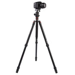 Triopo MT-2804C Tripé Portátil Ajustável em Alumínio com Cabeça de Bola NB-2S para Câmera DSLR Canon Nikon Sony, MT-2804C (Preto), MT-2804C (Dourado)