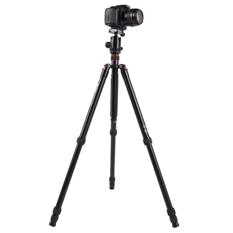 Triopo MT-2804C Tripé Portátil Ajustável em Alumínio com Cabeça de Bola NB-2S para Câmera DSLR Canon Nikon Sony, MT-2804C (Preto), MT-2804C (Dourado)