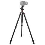 Triopo MT-2804C Tripé Portátil Ajustável em Alumínio com Cabeça de Bola NB-2S para Câmera DSLR Canon Nikon Sony, MT-2804C (Preto), MT-2804C (Dourado)