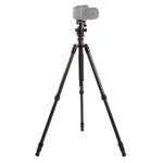 Triopo GT-2504X8.C Tripé Portátil Ajustável em Fibra de Carbono com Cabeça de Bola de Alumínio B-1 para Câmera DSLR Canon Nikon Sony, GT-2504X8.C (Preto), GT-2504X8.C (Dourado)