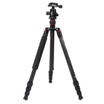 Triopo GT-2504X8.C Tripé Portátil Ajustável em Fibra de Carbono com Cabeça de Bola de Alumínio B-1 para Câmera DSLR Canon Nikon Sony, GT-2504X8.C (Preto), GT-2504X8.C (Dourado)