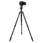 Triopo GT-2504X8.C Tripé Portátil Ajustável em Fibra de Carbono com Cabeça de Bola de Alumínio B-1 para Câmera DSLR Canon Nikon Sony, GT-2504X8.C (Preto), GT-2504X8.C (Dourado)