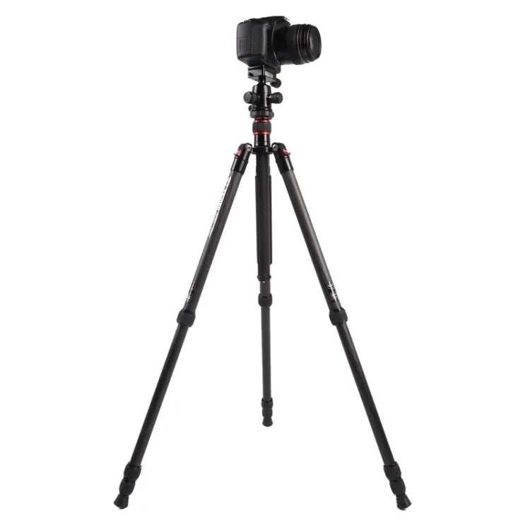 Triopo GT-2504X8.C Tripé Portátil Ajustável em Fibra de Carbono com Cabeça de Bola de Alumínio B-1 para Câmera DSLR Canon Nikon Sony, GT-2504X8.C (Preto), GT-2504X8.C (Dourado)