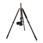 Triopo GT-2504X8.C Tripé Portátil Ajustável em Fibra de Carbono com Cabeça de Bola de Alumínio B-1 para Câmera DSLR Canon Nikon Sony, GT-2504X8.C (Preto), GT-2504X8.C (Dourado)
