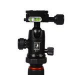 Triopo GT-2504X8.C Tripé Portátil Ajustável em Fibra de Carbono com Cabeça de Bola de Alumínio B-1 para Câmera DSLR Canon Nikon Sony, GT-2504X8.C (Preto), GT-2504X8.C (Dourado)