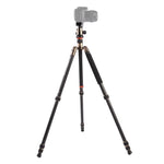 Triopo GT-2504X8.C Tripé Portátil Ajustável em Fibra de Carbono com Cabeça de Bola de Alumínio B-1 para Câmera DSLR Canon Nikon Sony, GT-2504X8.C (Preto), GT-2504X8.C (Dourado)