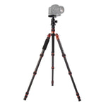 Triopo GT-2505x8.C Tripé Portátil Ajustável em Fibra de Carbono com Cabeça de Bola de Alumínio B-1 para Câmera DSLR Canon Nikon Sony, GT-2505x8.C (Preto), GT-2505x8.C (Dourado)