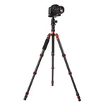 Triopo GT-2505x8.C Tripé Portátil Ajustável em Fibra de Carbono com Cabeça de Bola de Alumínio B-1 para Câmera DSLR Canon Nikon Sony, GT-2505x8.C (Preto), GT-2505x8.C (Dourado)