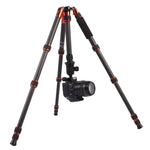 Triopo GT-2505x8.C Tripé Portátil Ajustável em Fibra de Carbono com Cabeça de Bola de Alumínio B-1 para Câmera DSLR Canon Nikon Sony, GT-2505x8.C (Preto), GT-2505x8.C (Dourado)